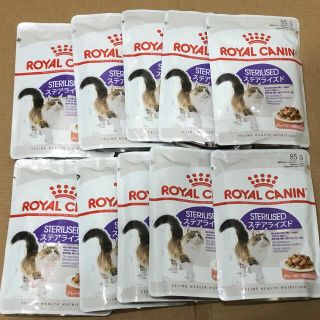 ロイヤルカナン(ROYAL CANIN)のロイヤルカナン 成猫用ウェットフード10袋 ステアライズド グレービー(ペットフード)