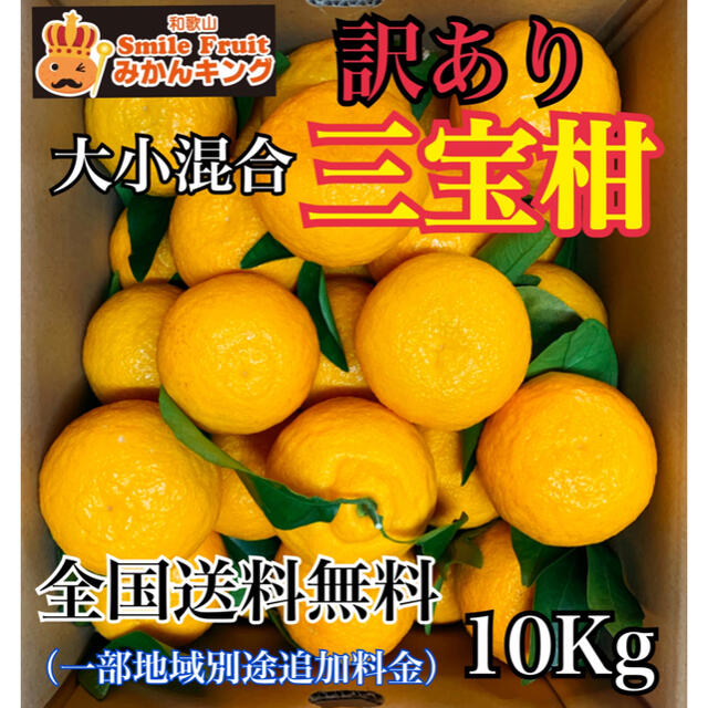 和歌山県産　三宝柑　訳あり　大小混合10Kg みかんキング 食品/飲料/酒の食品(フルーツ)の商品写真