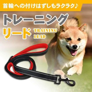 愛犬 ドッグリード 持ち手2か所 反射板付き全長175cm(日用品/生活雑貨)