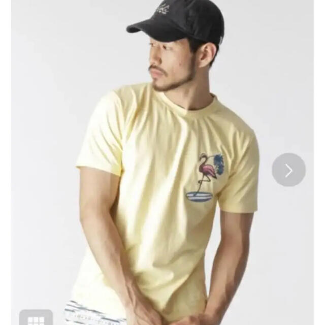 BAYFLOW(ベイフロー)のフラミンゴTシャツ メンズのトップス(Tシャツ/カットソー(半袖/袖なし))の商品写真