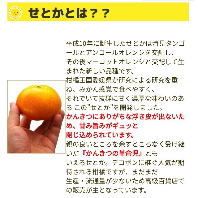 期間限定品！訳あり　せとか2㎏（8玉前後)　送料無料 食品/飲料/酒の食品(フルーツ)の商品写真