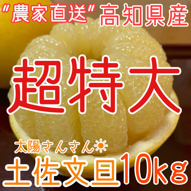 【ゆう 様   専用ページ】高知県産 土佐文旦 ぶんたん 10kg 食品/飲料/酒の食品(フルーツ)の商品写真