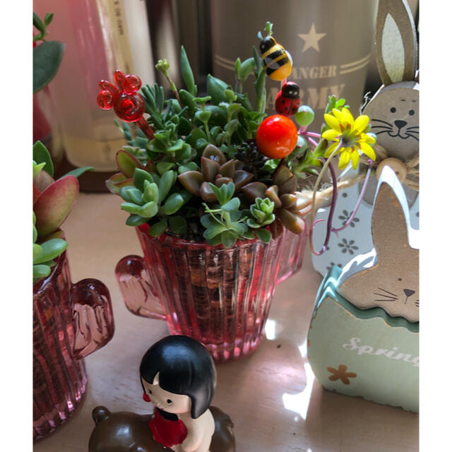 多肉植物❤︎寄せ植え❤︎このまま飾れます❤︎ピンク鉢❤︎2点セット♪ ハンドメイドのフラワー/ガーデン(その他)の商品写真