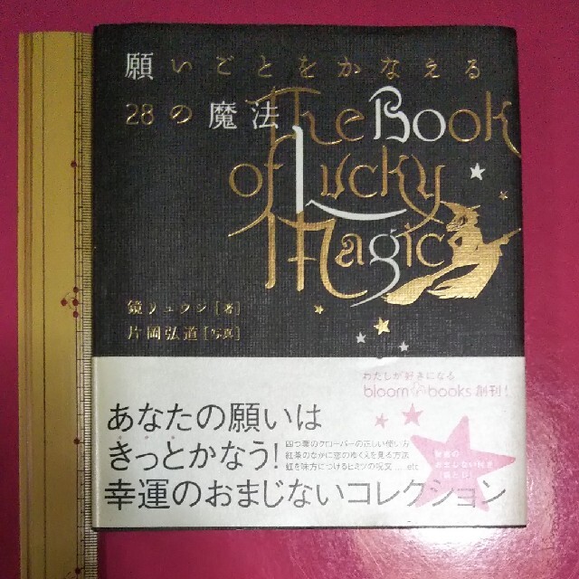 願い事をかなえる２８の魔法 エンタメ/ホビーの本(文学/小説)の商品写真