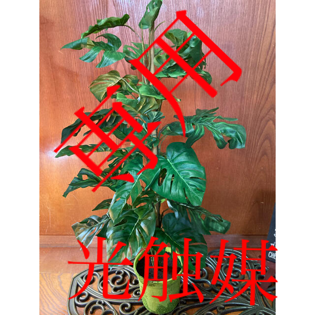 光触媒　人工観葉植物　ウォールグリーン　造花　インテリア　モンステラ8645