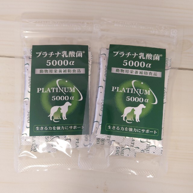 プラチナ乳酸菌　犬　猫兼用 その他のペット用品(その他)の商品写真