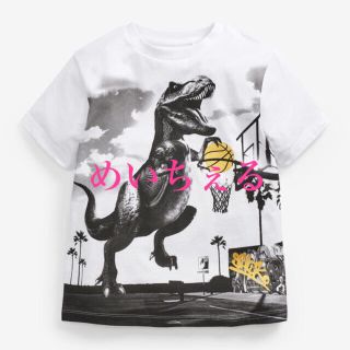 ネクスト(NEXT)の専用ページ🌿🕊（uk9）(Tシャツ/カットソー)