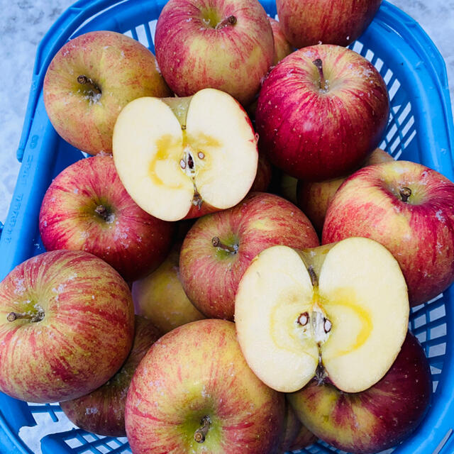 青森りんご5キロオマケ付き　家庭用葉取らずサンフジ 食品/飲料/酒の食品(フルーツ)の商品写真