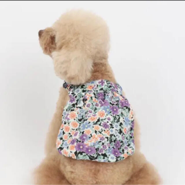 犬服♡ペット服　花柄ワンピース【セール中】 その他のペット用品(犬)の商品写真