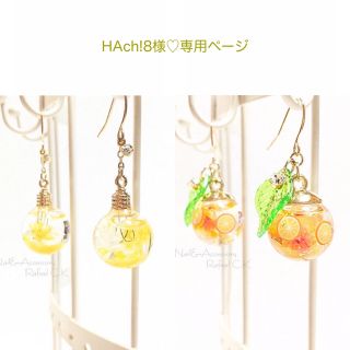 HAch!8✿様♡専用ページ(ピアス)