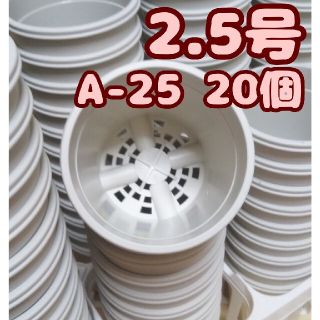 プラ鉢2.5号鉢【A-25】20個 スリット鉢 丸 プレステラ 多肉植物(プランター)