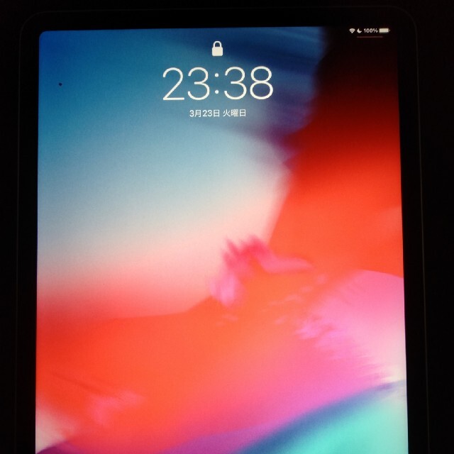iPad - iPadPro11インチ 第1世代　1TB