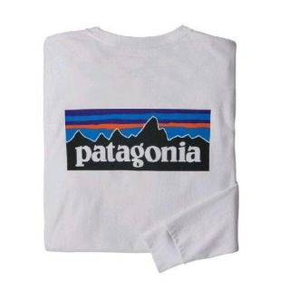 パタゴニア(patagonia)のSサイズパタゴニア ロングスリーブ　tシャツ  P-6ロゴ レスポンシビリティー(Tシャツ/カットソー(七分/長袖))