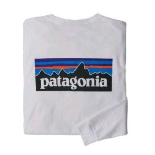 パタゴニア(patagonia)のMサイズパタゴニア ロングスリーブ tシャツ P-6ロゴ レスポンシビリティー(Tシャツ/カットソー(七分/長袖))