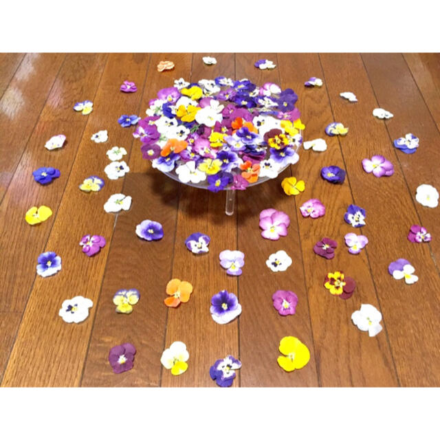 ② 銀の紫陽花が作った彩りビオラのドライフラワー超山盛り80冠‼️ ハンドメイドのフラワー/ガーデン(ドライフラワー)の商品写真