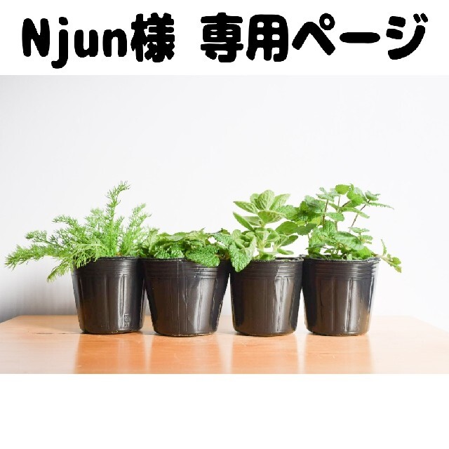 Njun様 専用ページです！ ハンドメイドのフラワー/ガーデン(プランター)の商品写真