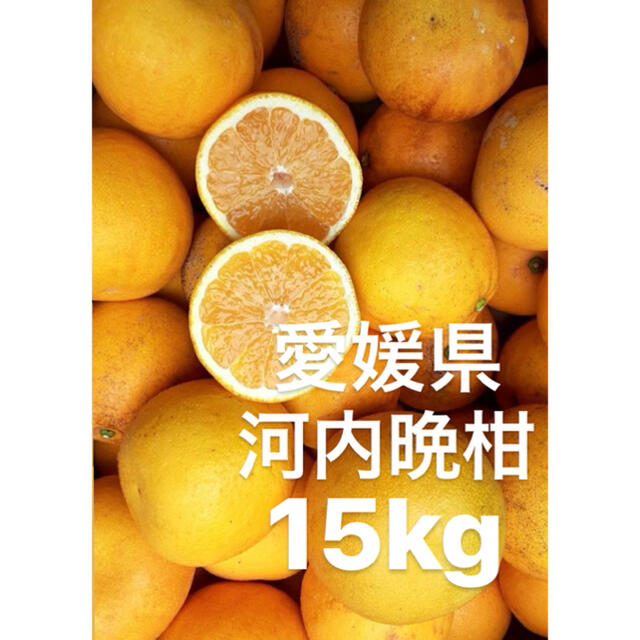愛媛県　宇和ゴールド　河内晩柑　15kg 食品/飲料/酒の食品(フルーツ)の商品写真