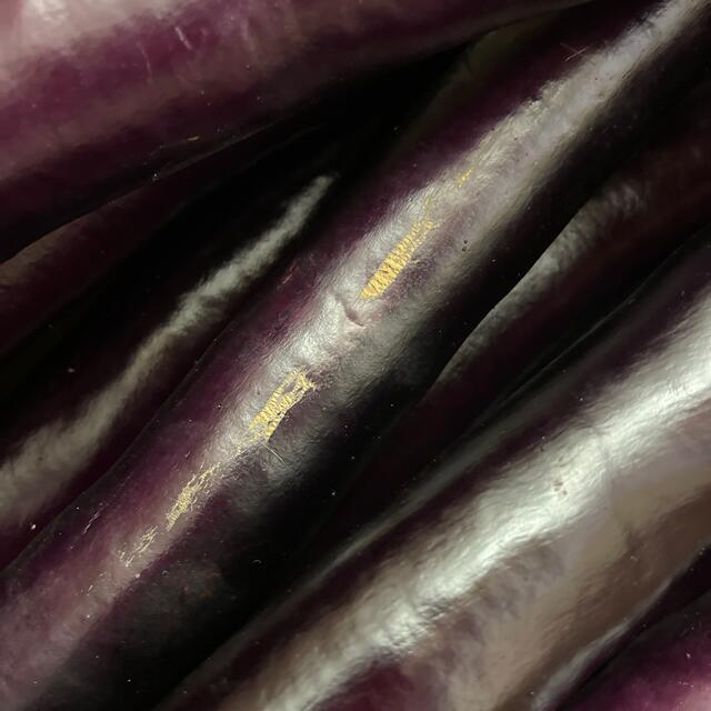 熊本県産 黒紫大長なす 5キロ 送料込 食品/飲料/酒の食品(野菜)の商品写真