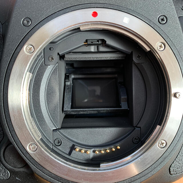 Canon - Canon EOS 7D MARK2(G) ボディの通販 by ゴロ｜キヤノンならラクマ 豊富な低価