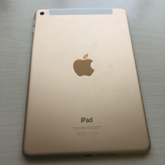 iPad mini4