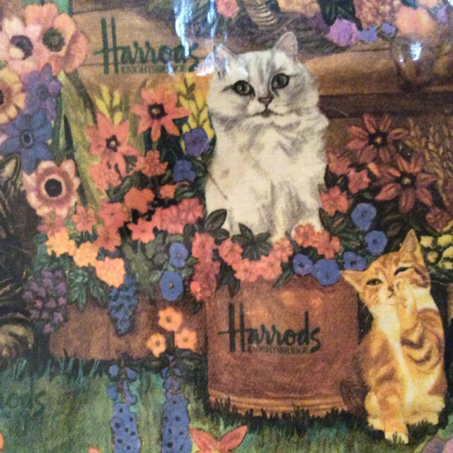 Harrods(ハロッズ)のハロッズ  Harrods キャスキッドソン好きの方へ レディースのバッグ(トートバッグ)の商品写真