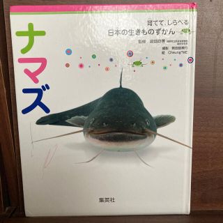 シュウエイシャ(集英社)の育てて、しらべる　日本の生きものずかん　ナマズ(絵本/児童書)