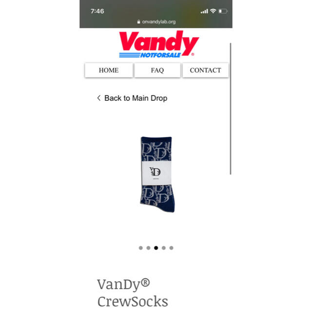 【Vandylab購入・新品未使用】Vandy the Pink クルーソックス