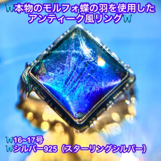 【幸せの青い蝶】モルフォ蝶 アンティーク風リング(スターリング