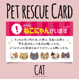ペット救済カード♡猫ちゃん用(その他)