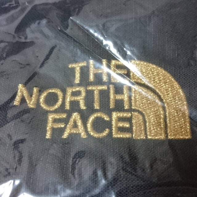 THE NORTH FACE(ザノースフェイス)のノースフェイス　ビッグショット　限定カラー　ゴールド　NM72005 メンズのバッグ(バッグパック/リュック)の商品写真