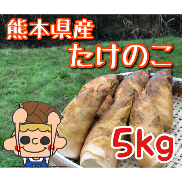 【お買得】熊本県産　たけのこ　5kg
