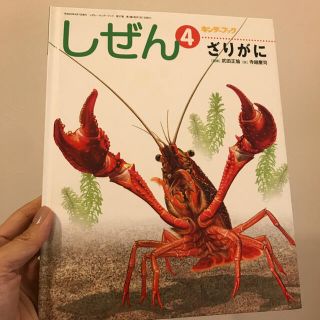 みーな様　専用　　しぜん　ザリガニ、はるのおがわ(絵本/児童書)