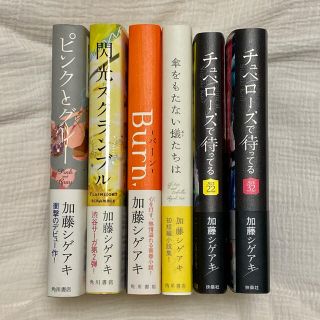 ジャニーズ(Johnny's)の加藤シゲアキ 小説 6冊セット(文学/小説)