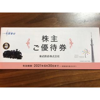 東武鉄道　株主優待券1冊(遊園地/テーマパーク)