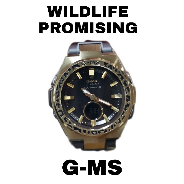 【美品】WILDLIFE　PROMISING G-MS限定品