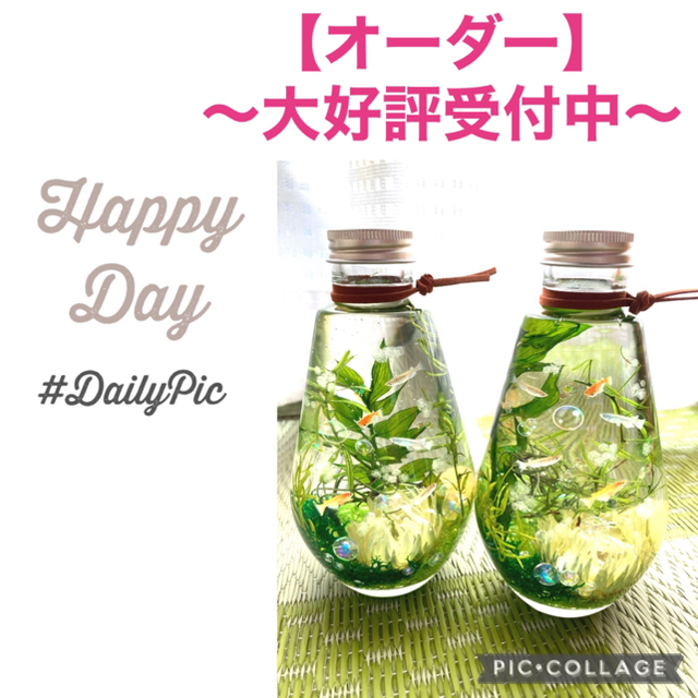 メダカ 水槽風 爽やかアクアリウム 夜光石 蓄光ホログラムin 8の通販 By Ria 10 8 新作更新 ラクマ メダカ 水槽風 爽やかアクアリウム 夜光石 蓄光ホログラムin 8の通販 By Ria 10 8 新作更新 ラクマ
