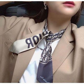 Dior スカーフ テテ着用色違い www.esicolegiobelem.com.br