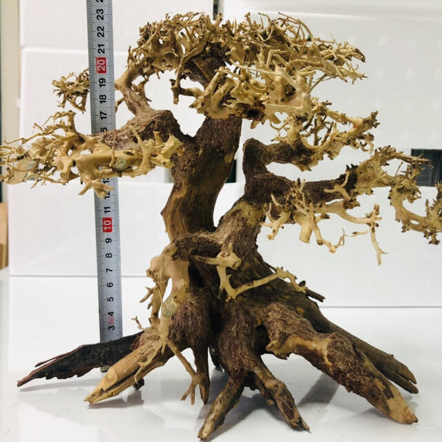 盆栽流木 盆栽流木