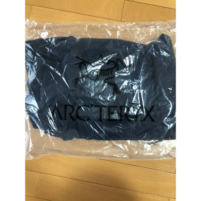 ARC'TERYX(アークテリクス)のARC’TERYX アークテリクス GAMMA LT HOODY ガンマ メンズのジャケット/アウター(マウンテンパーカー)の商品写真