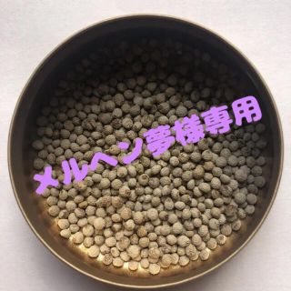 メルヘン夢様専用　無農薬　エゴマの種　600粒以上(野菜)