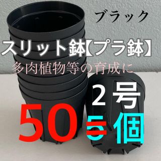 【スリット鉢2号】【新品】直径6㎝‼️50個❗️ちょっとだけ欲しい方に(プランター)