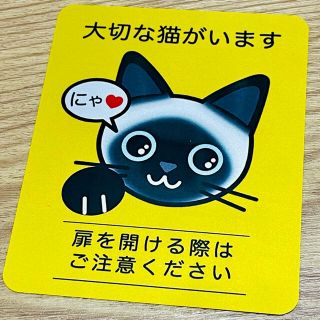 【シャム】猫がいます四角ステッカー5y　ネコねこシール(猫)