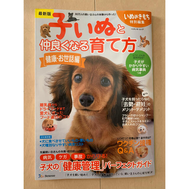 子いぬと仲良くなる育て方 ８０万人の飼い主さんの体験から作った！ 健康・お世話編 エンタメ/ホビーの本(住まい/暮らし/子育て)の商品写真