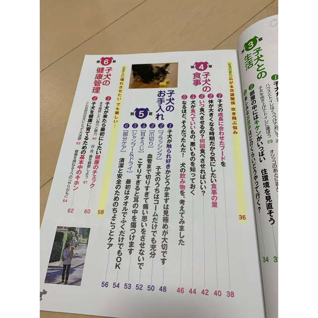 子いぬと仲良くなる育て方 ８０万人の飼い主さんの体験から作った！ 健康・お世話編 エンタメ/ホビーの本(住まい/暮らし/子育て)の商品写真