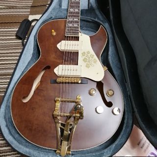 エピフォン(Epiphone)のエピフォン　ES-295 PREMIUM　Gibson USA P-90　(エレキギター)