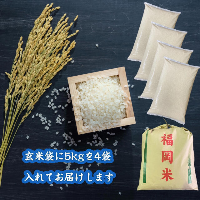令和2年産 コスパ米 生活応援米 20kg 米びつ当番プレゼント付き お米 ... 令和2年産 コスパ米 生活応援米 20kg 米びつ当番プレゼント付き お米 激安