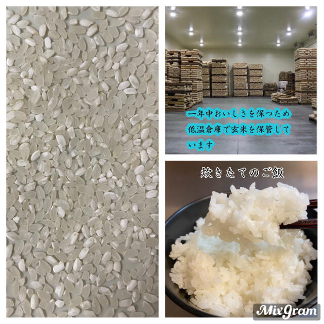 令和2年産 コスパ米 生活応援米 20kg 米びつ当番プレゼント付き お米 ... 令和2年産 コスパ米 生活応援米 20kg 米びつ当番プレゼント付き お米 激安