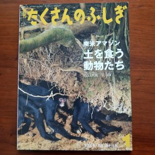 月刊 たくさんのふしぎ 2020年 01月号の通販 by miiiii's shop｜ラクマ