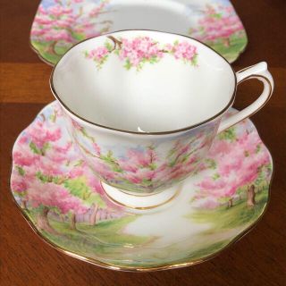 ロイヤルアルバート(ROYAL ALBERT)の【レア美品】ロイヤルアルバート★ブロッサムタイム★トリオ(食器)