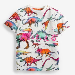 ネクスト(NEXT)の専用ページ🌿🕊（uk8）(Tシャツ/カットソー)